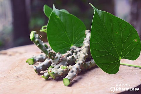 Herbs that can do wonders to your health