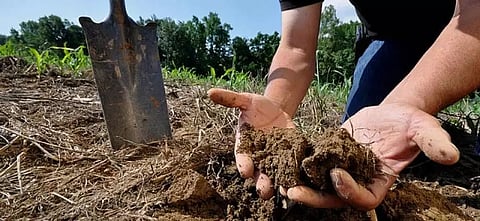Soil fertility management: Need some fruitful intervention
