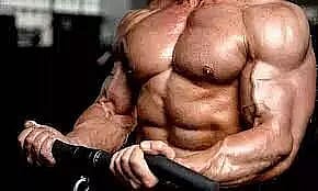 State Body Building team named announced for Junior National Bodybuilding Championship