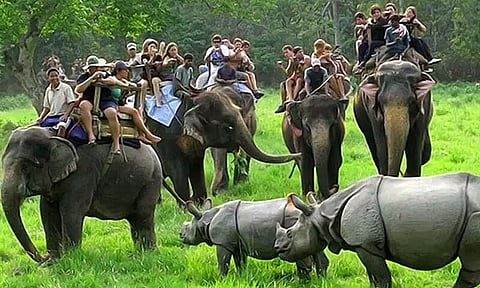Foreign Tourist Entered Kaziranga National Park Without Permit
