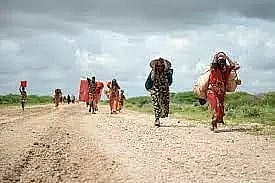 Climate change and migration