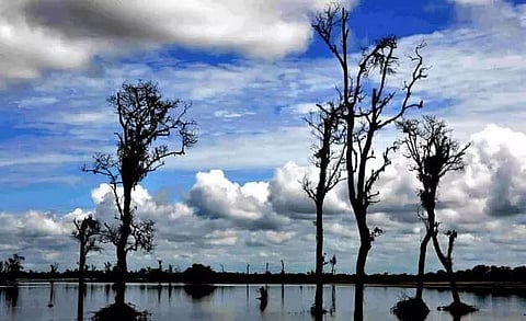 Eco-sensitive zone of Dibru-Saikhowa National Park functioning without regulatory authority