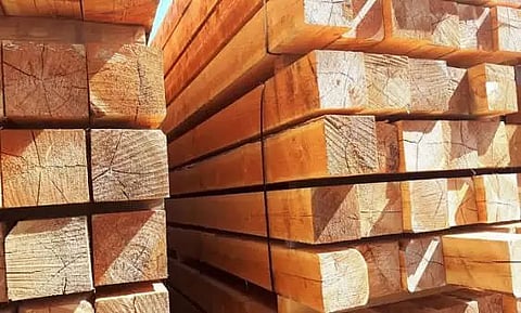 Illegal activities: Sar areas in police radar