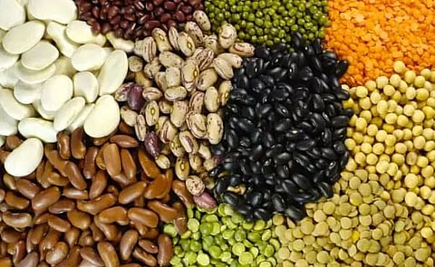 The pulse of Assam Agriculture