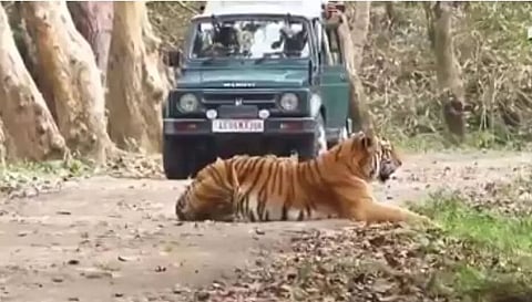 Kaziranga National Park witnesses record number of tourists