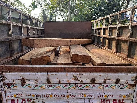 Illegal timber seized from Sonapur area