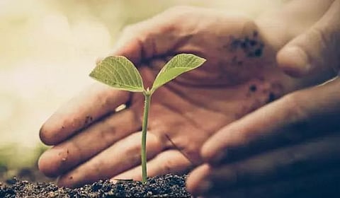 Street plays "Gosor Sadhu and Jonak Nohouk Amabosya" staged in Dhakuakhana