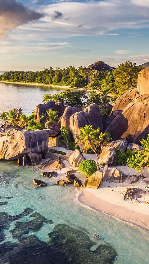 How Each Zodiac Sign would behave if stranded on an island