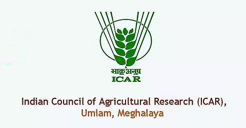 ICAR Meghalaya Recruitment 2022 - Young Professional Vacancy, Job Openings