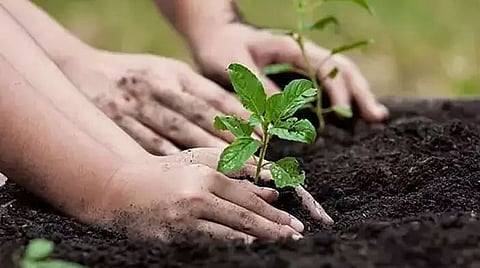 Plantation drive conducted in school campus in Guwahati
