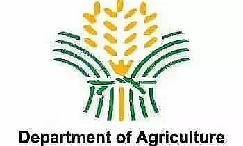 DoA Invites Tender for the Construction of Knowledge Centre with Training Hall at Panitola - 2022_DAASC_26089_28