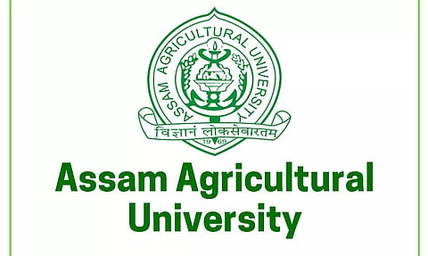 Assam Agricultural University Recruitment 2022 - Young Professional-II Vacancy, Job Opening