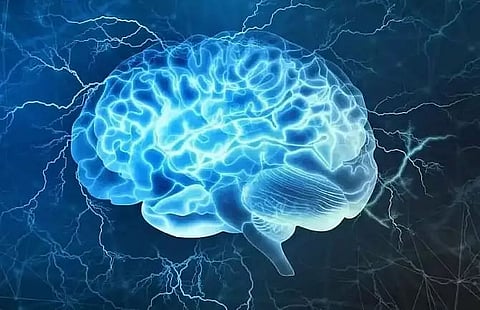 Human brain did not shrink 3,000 years ago as thought earlier: Study