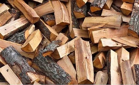 Athabari Bangali Gaon Primary School students asked to carry firewood