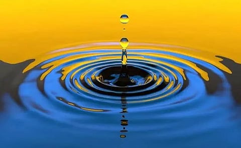 Assam girl Dr. Harshita Gogoi shines with research in 'recovering water resources'