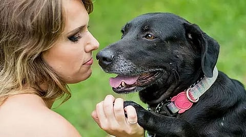 A dog loves you when you forget to love yourself