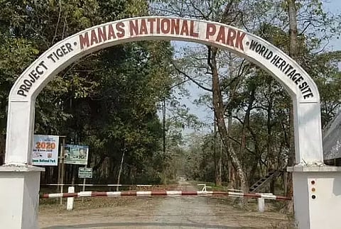 Assam Tourism In Pact With IHCL To Set Up Hotel At Manas National Park