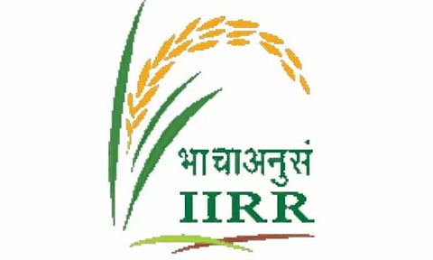 IIRR Recruitment 2022 - Young Professional I Vacancy, Latest Job Opening
