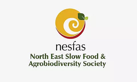 NESFAS Meghalaya Recruitment 2022 - Lead Finance Associate Vacancy, Job Opening