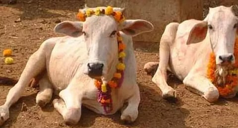 Three-day Gopastmi Mela to be celebrated from October 30 in Guwahati