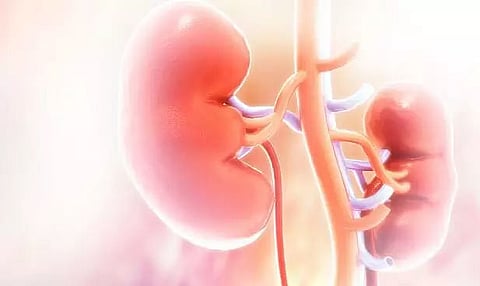 Exposure to air pollution ups kidney disease risk: Study