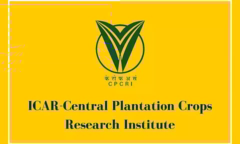 ICAR-CPCRI Guwahati Recruitment 2022 - Young Professional Vacancy, Job Opening