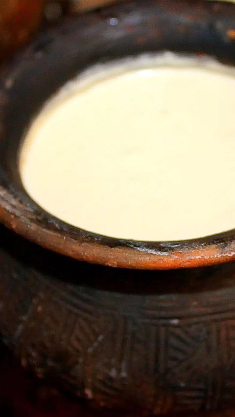 How to Set Curd in Winter