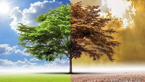 Capacity-building workshop on climate action organized in Cachar district