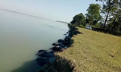 Marauding erosion displaces around 150 families in Dibrugarh