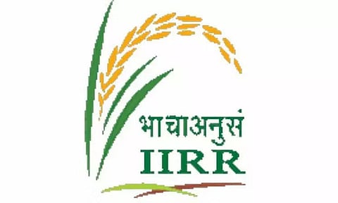 IIRR Recruitment 2022 - Young Professional - I Vacancy, Job Opening