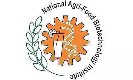 NABI Recruitment 2023 - Senior Technical Assistant Vacancy, Job Opening