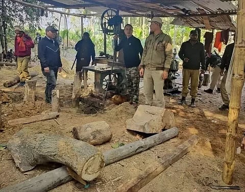 Illegal band sawmills raided in Udalguri and Darrang districts