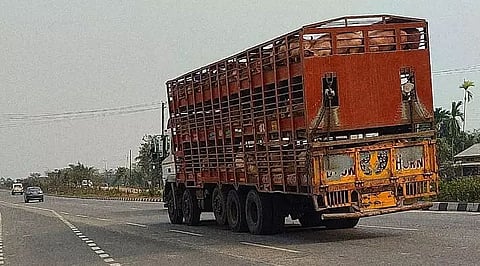 Overloaded and old vehicles flout traffic rules in Bajali