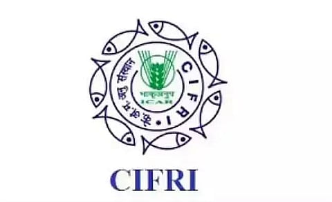 CIFRI Recruitment 2023 - Young Professional-II Vacancy, Job Opening