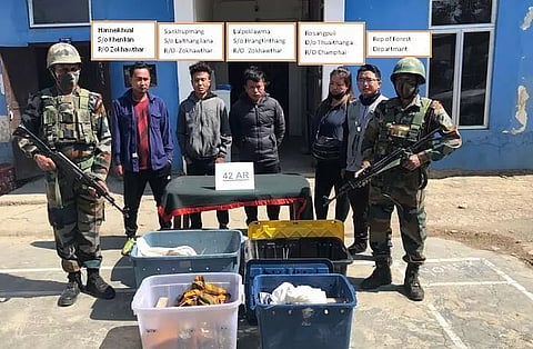 Six rare Burmese pythons seized in Mizoram