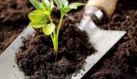 Training on preparation of organic fertilizers held in Lakhimpur district