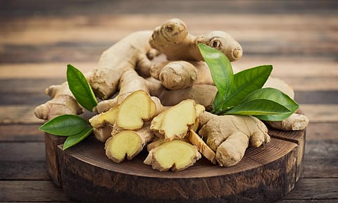 Farmers in Samdrup Jongkhar fetch good ginger price