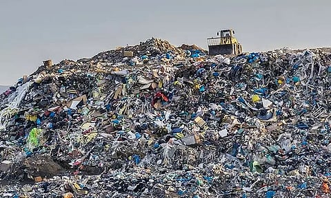 Why Learning How to Segregate Trash Properly is Important