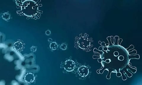 Centre writes to States, UTs over rising H1N1, H3N2 cases
