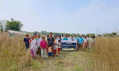 Field day on high-yielding Indian mustard variety held in Lakhimpur