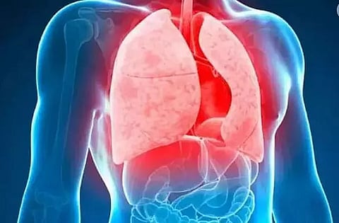 East Garo Hills observes World Tuberculosis Day