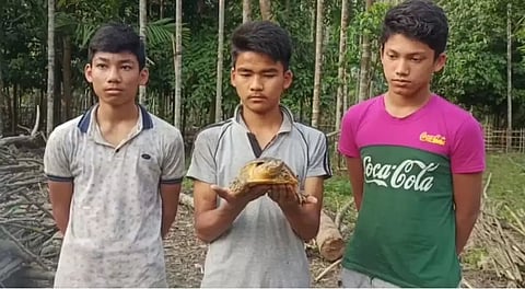 Teens Rescue Rare Tortoise in Assam