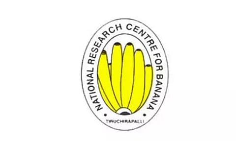 NRCB Recruitment 2023- Young Professional-I Vacancy, Job opening