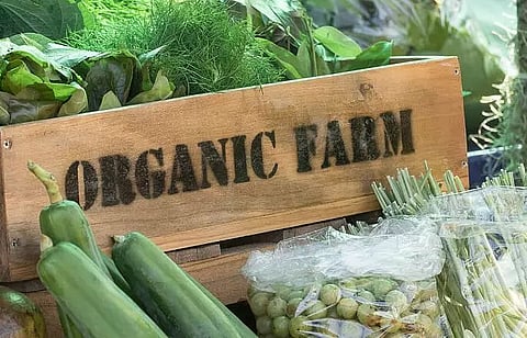 Marketing push for organic farming in NE