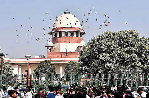 Criminal acts like fraud, cheating could not be decided by consumer forum: Supreme Court