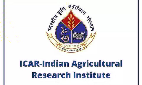 IARI Recruitment 2023- Young Professional-I Vacancy, Job Opening