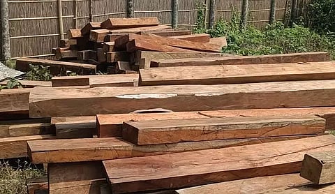 Sawn timber seized under Salna forest range in Nagaon