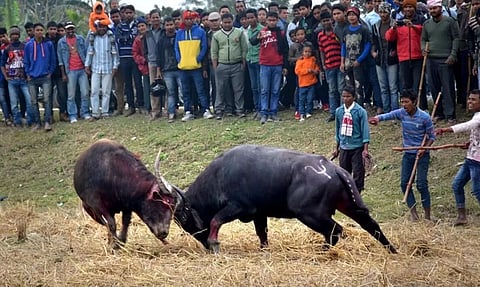 Competitions on traditional games on Rongali Bihu held at Lakhimpur
