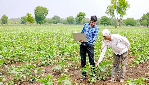 Agriculture Department: Whose interest is it serving?