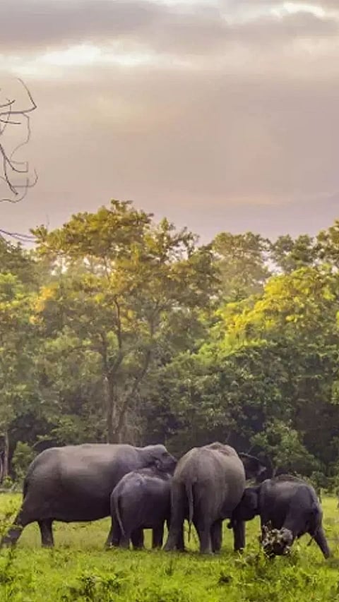 National Parks in the North-East